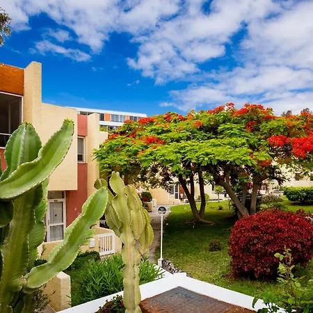 Costa Adeje Cortijo 1-8 Appartement Playa de las Américas